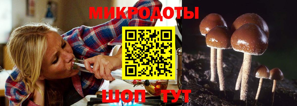 Полевской  что такое   Вход с VPN  Псилоцибиновые грибы мицелий  Псилоцибиновые грибы Psilocybe 